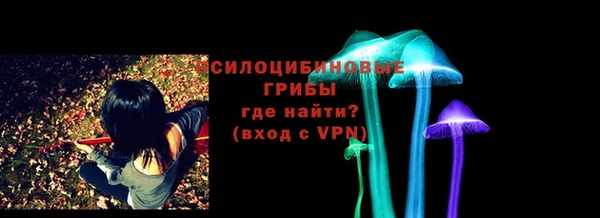 mdpv Богданович