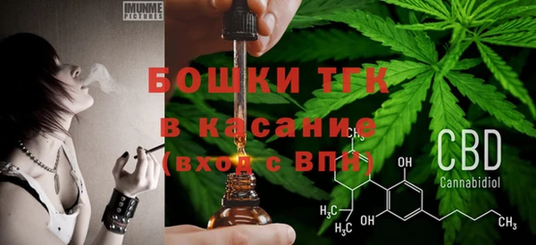 мескалин Богородицк