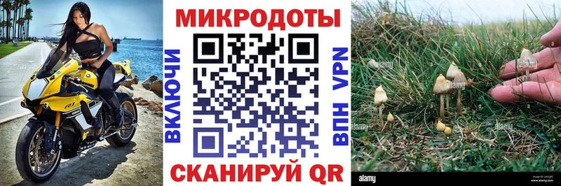 Псилоцибиновые грибы мицелий  цена   Острогожск 